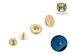 THK / Hasi-Hato - Segma Snaps "Machined Base" (Solid Brass) - 5 Pack