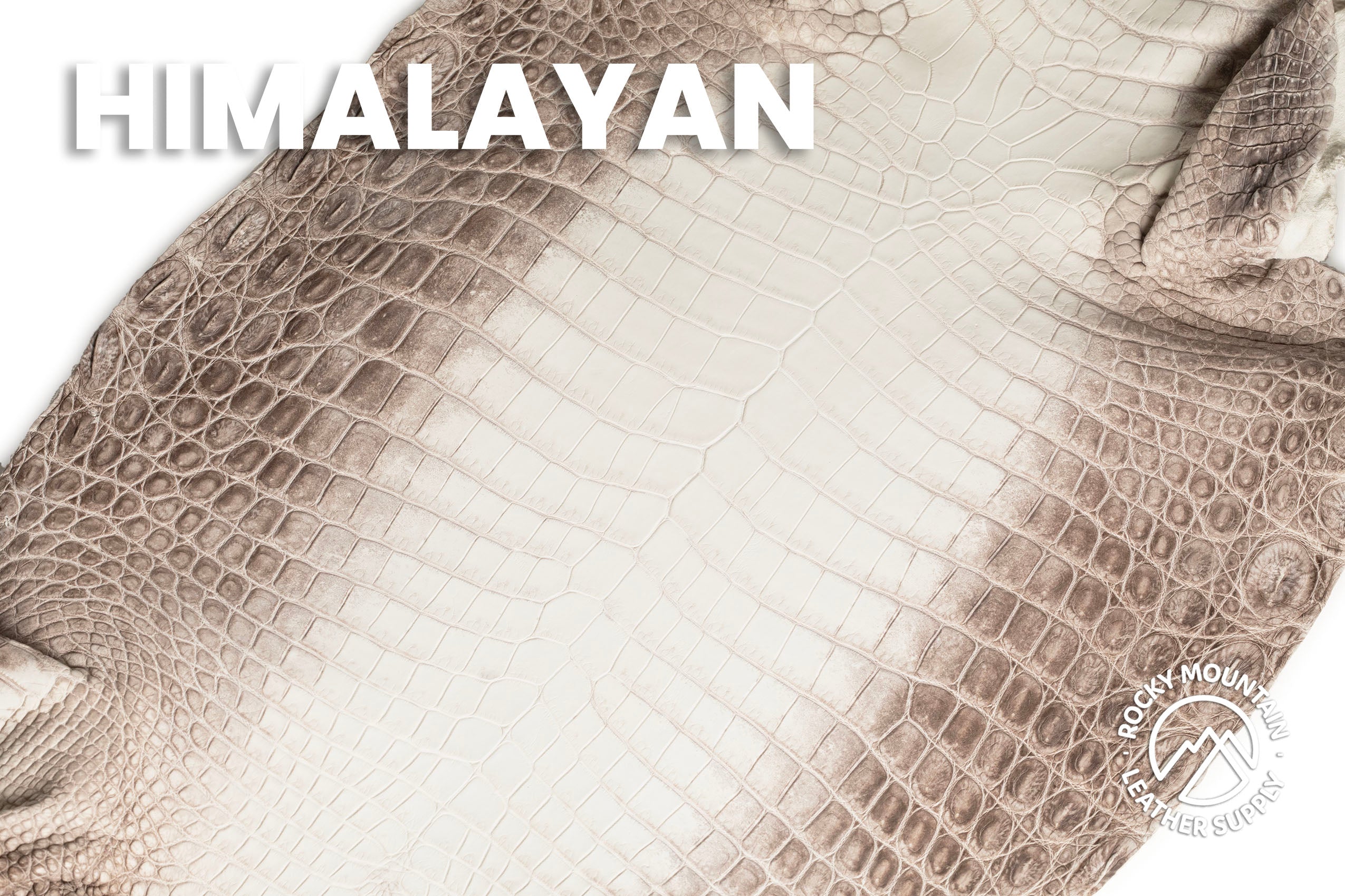 Crocodile - Matte Himalayan - Farm Raised - Luxury Skins