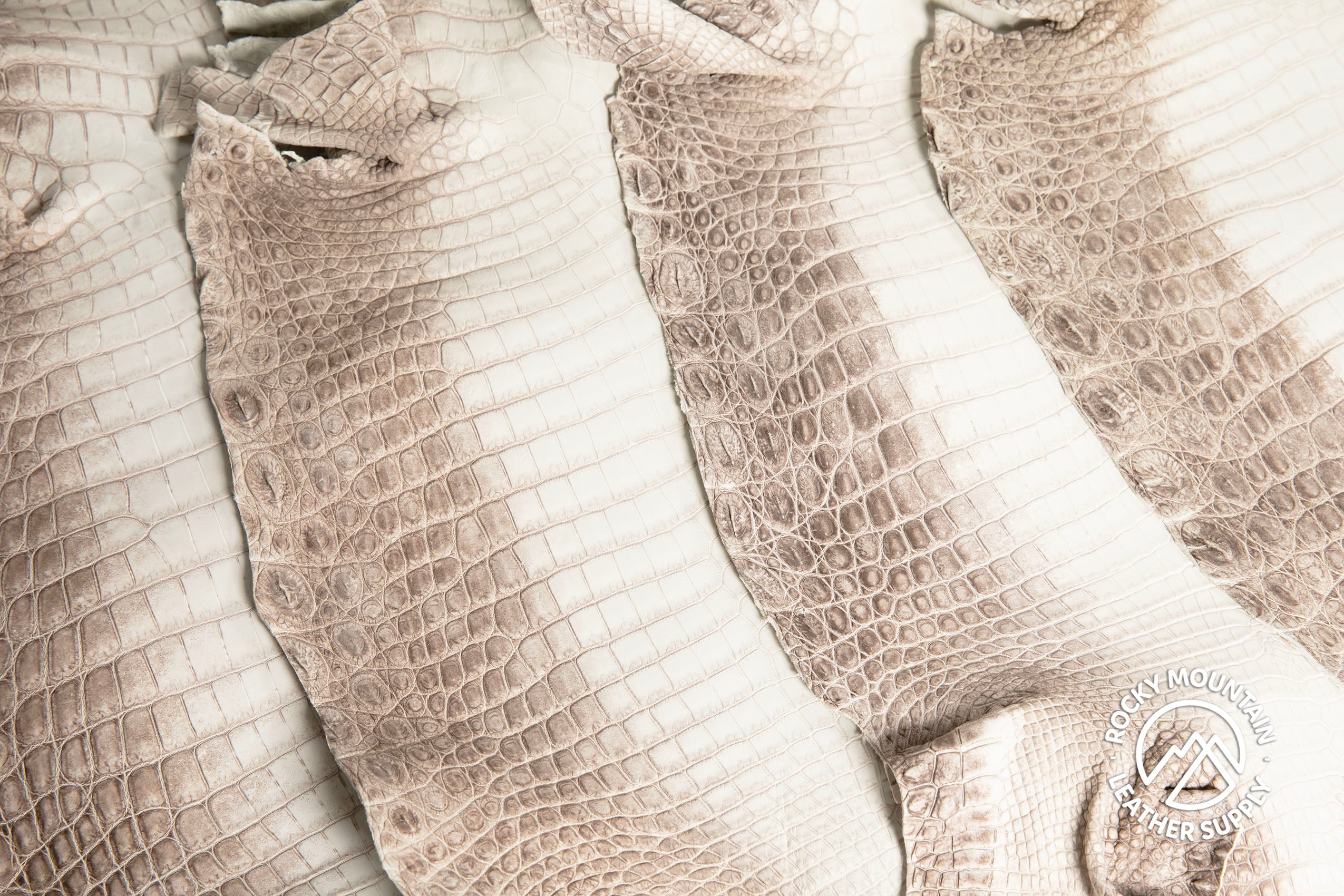 Crocodile - Matte Himalayan - Farm Raised - Luxury Skins
