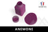 Vernis - Heatable Edge Paint (Matte) - 50 Colors!