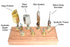 Regad - Electric Creasing Machine Accessories