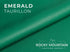 Taurillon -  Luxury Handbag "Large Pebbled" Young Bull Leather (SAMPLES)