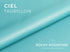 Taurillon -  Luxury Handbag "Large Pebbled" Young Bull Leather (SAMPLES)