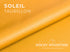 Taurillon -  Luxury Handbag "Large Pebbled" Young Bull Leather (SAMPLES)